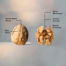 Load image into Gallery viewer, Premium Walnuts Online | Moisture Free | Big size
