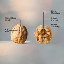 Load image into Gallery viewer, Almonds and Walnuts Wisdom Combo | 800 g